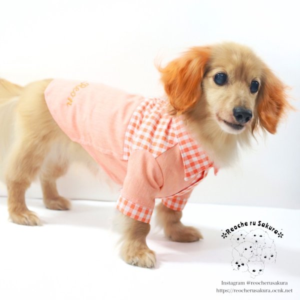 画像8: カラフルキャンディシャツブラウス (8)