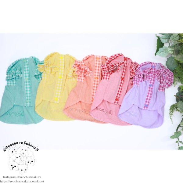 画像27: カラフルキャンディシャツブラウス (27)