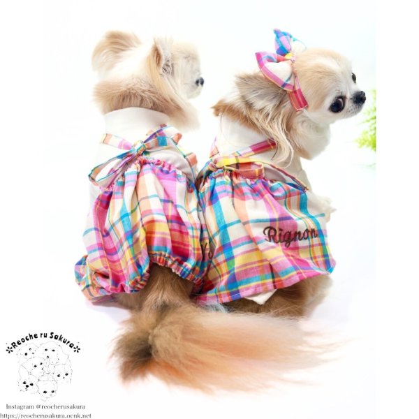 画像8: マドラスチェック　キャミスカート&パンツ (8)