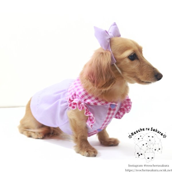 画像12: カラフルキャンディシャツブラウス (12)