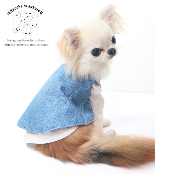 画像13: おめかしデニム　シャツ、ブラウス、ベストシリーズ (13)