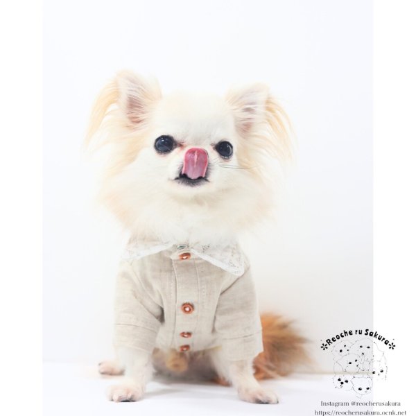 画像12: ナチュリネン　シャツ&ブラウス (12)