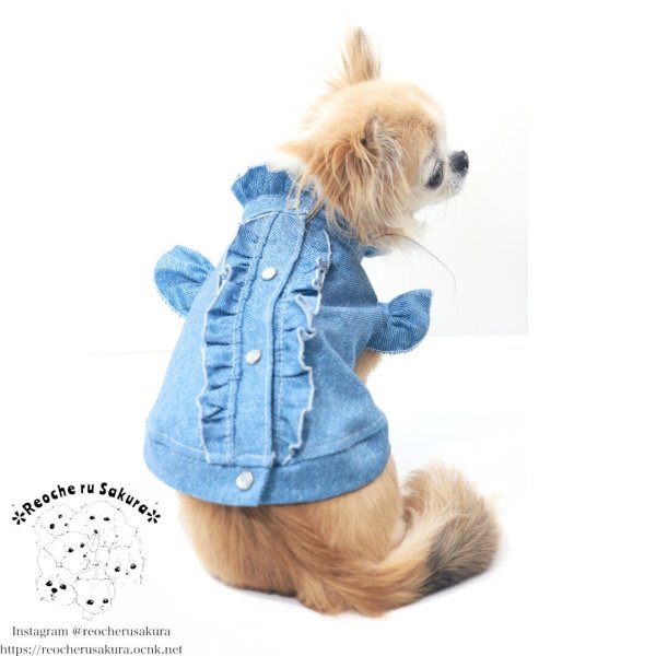 画像5: おめかしデニム　シャツ、ブラウス、ベストシリーズ (5)