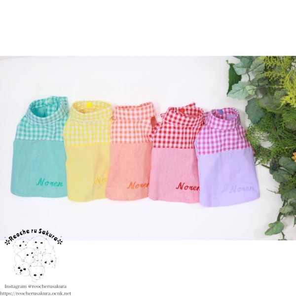 画像25: カラフルキャンディシャツブラウス (25)