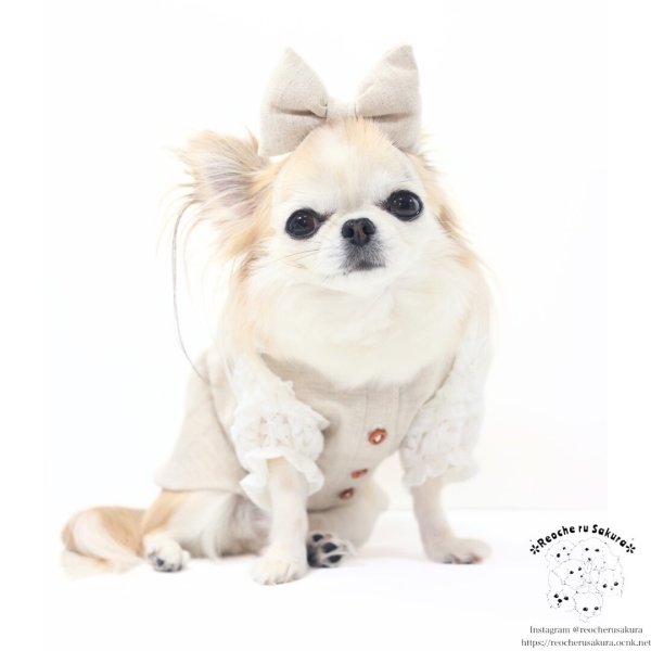 画像14: ナチュリネン　シャツ&ブラウス (14)