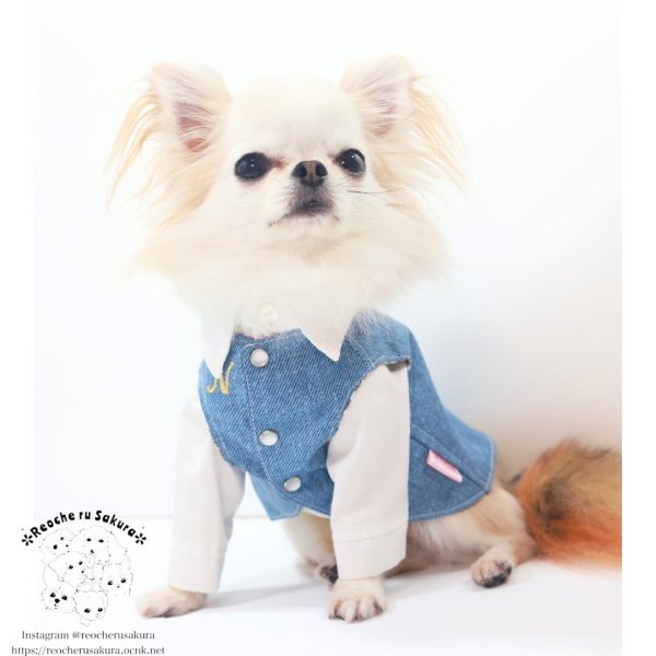 画像14: おめかしデニム　シャツ、ブラウス、ベストシリーズ (14)