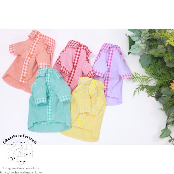 画像24: カラフルキャンディシャツブラウス (24)