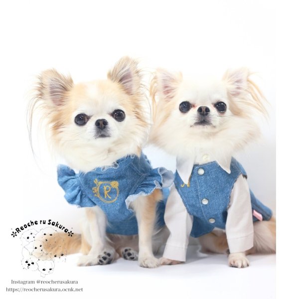 画像3: おめかしデニム　シャツ、ブラウス、ベストシリーズ (3)