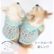 画像6: シアーブロッサムシャツ&ブラウス (6)