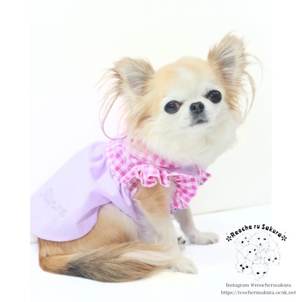 画像9: カラフルキャンディシャツブラウス (9)