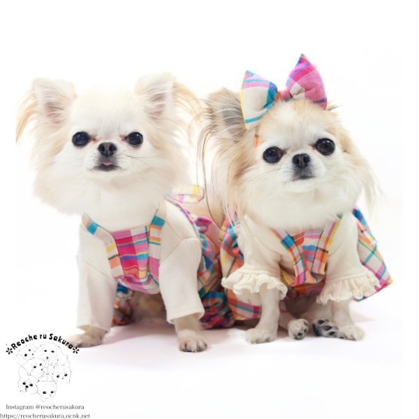 画像14: マドラスチェック　キャミスカート&パンツ (14)