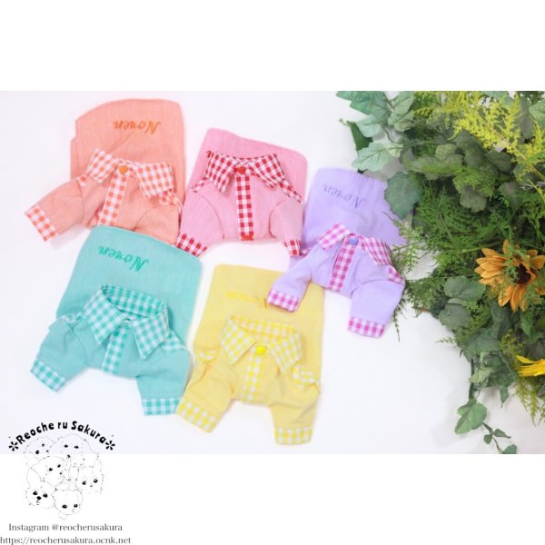 画像22: カラフルキャンディシャツブラウス (22)