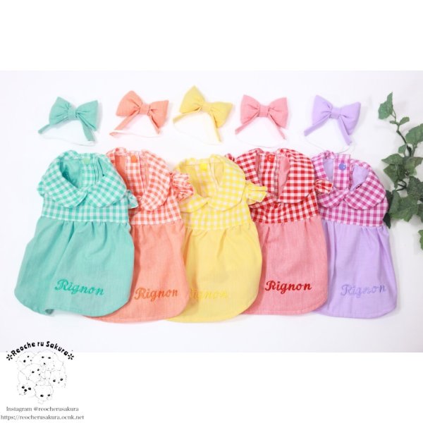 画像34: カラフルキャンディシャツブラウス (34)