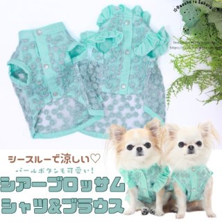 ハンドメイド　犬服　pochako cyan 392 plus m 犬 服 Quilting Dog Poncho - maru 706040