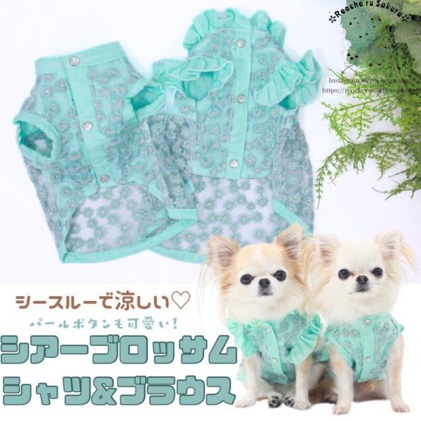 画像1: シアーブロッサムシャツ&ブラウス (1)