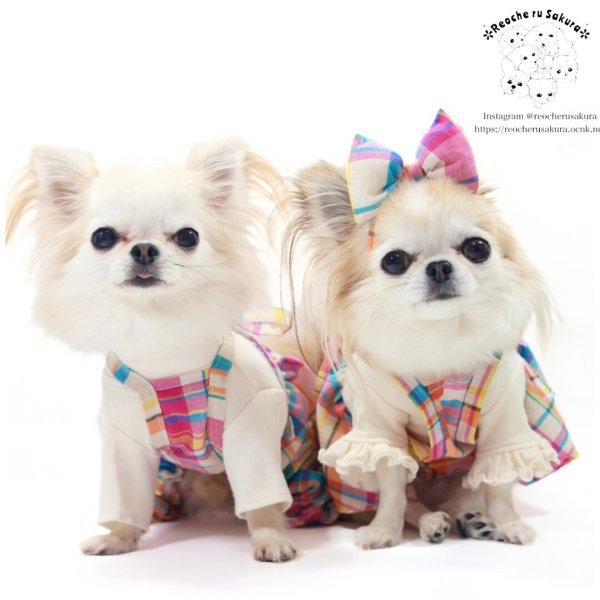 画像9: マドラスチェックカチューシャ (9)