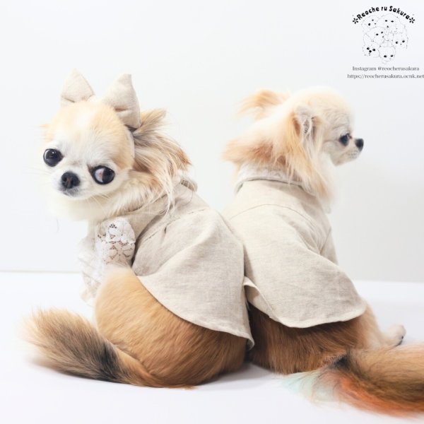 画像11: ナチュリネン　シャツ&ブラウス (11)