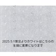 画像14: コットンレースチュニック＆シャツ (14)