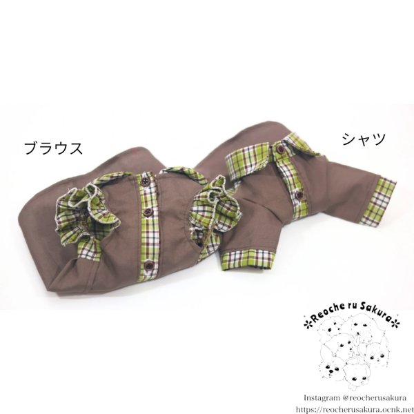 画像3: ピスタチオココアシャツ＆ブラウス (3)