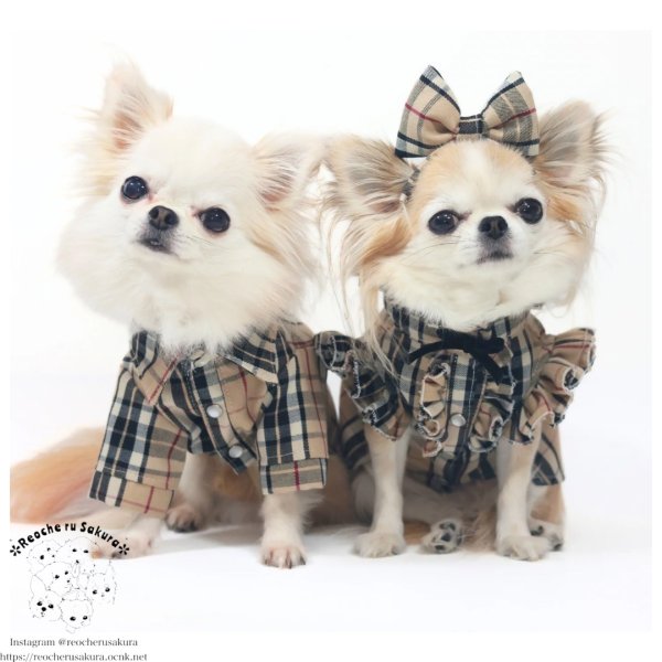 画像2: タータンベージュシャツ＆ブラウス (2)