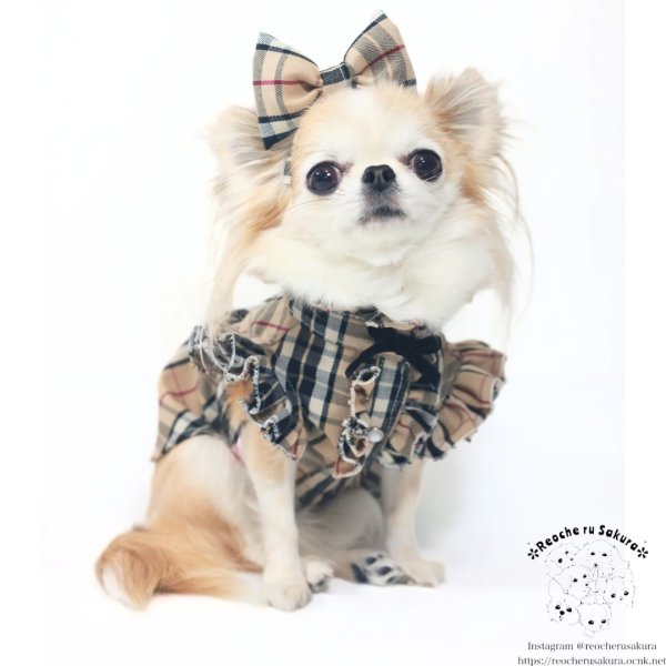 画像15: タータンベージュシャツ＆ブラウス (15)