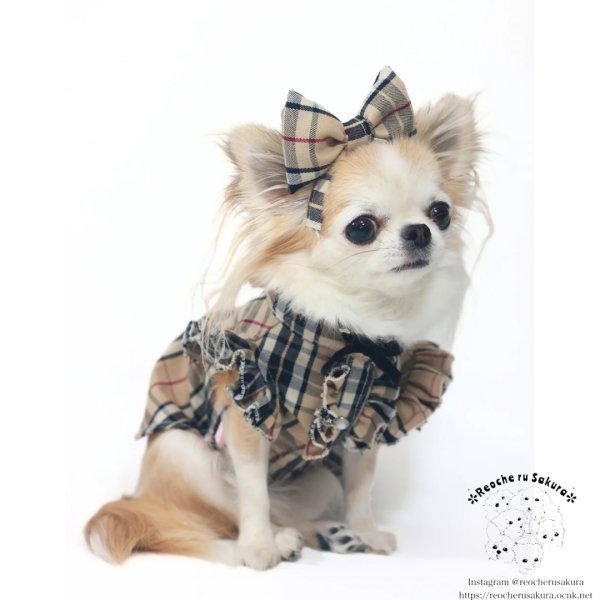 画像14: タータンベージュシャツ＆ブラウス (14)