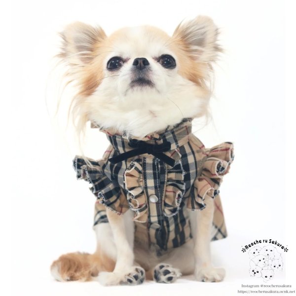 画像3: タータンベージュシャツ＆ブラウス (3)