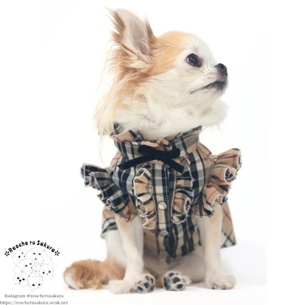 画像13: タータンベージュシャツ＆ブラウス (13)