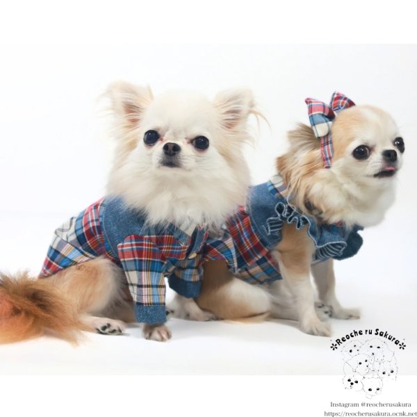 画像12: クラシックデニムシャツ＆ブラウス (12)