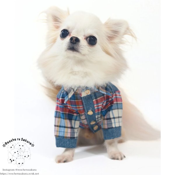 画像11: クラシックデニムシャツ＆ブラウス (11)