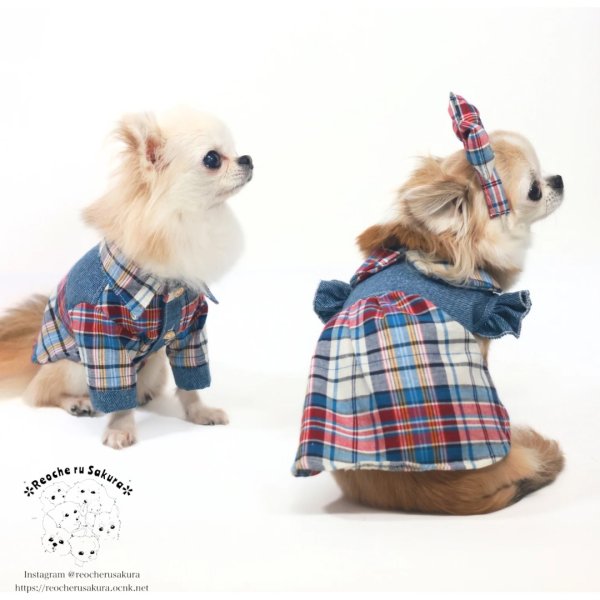 画像10: クラシックデニムシャツ＆ブラウス (10)