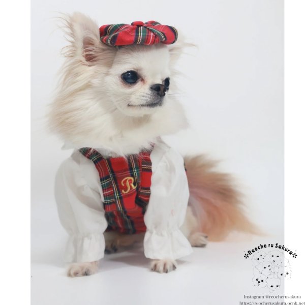 画像12: レッドタータンキャミバルーン (12)