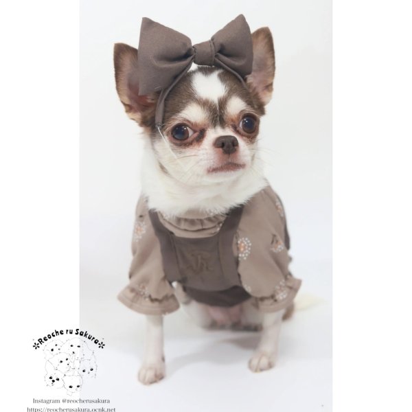 画像15: ナチュラルキャミバルーン (15)