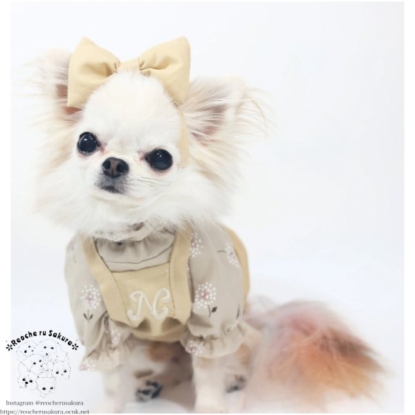 画像7: ナチュラルキャミバルーン (7)