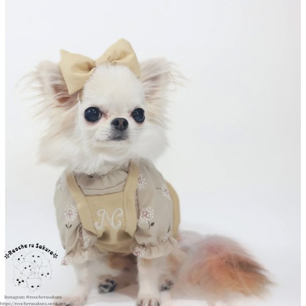 画像14: ナチュラルキャミバルーン (14)