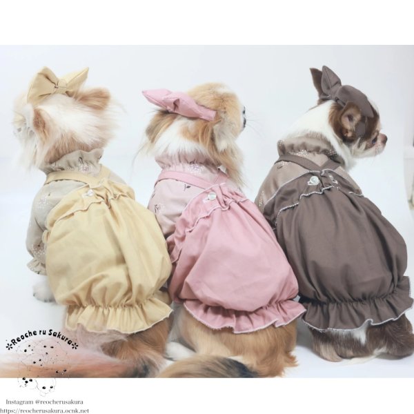 画像6: ナチュラルキャミバルーン (6)