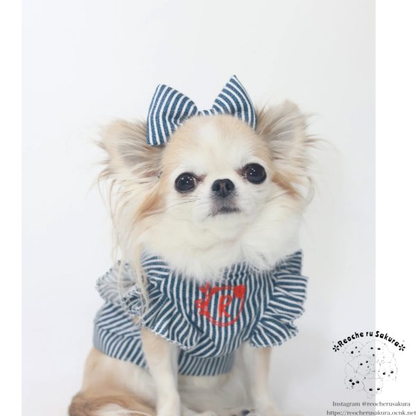 画像14: おめかしヒッコリー　シャツ、ブラウス、ベストシリーズ (14)