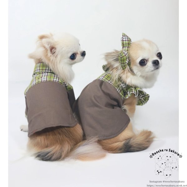 画像5: ピスタチオココアシャツ＆ブラウス (5)