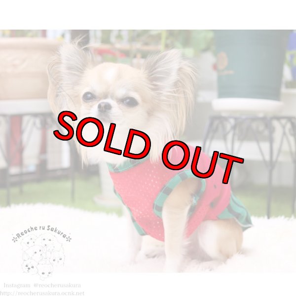 画像16: 【名入れ】スイカペアルック  春夏 (16)