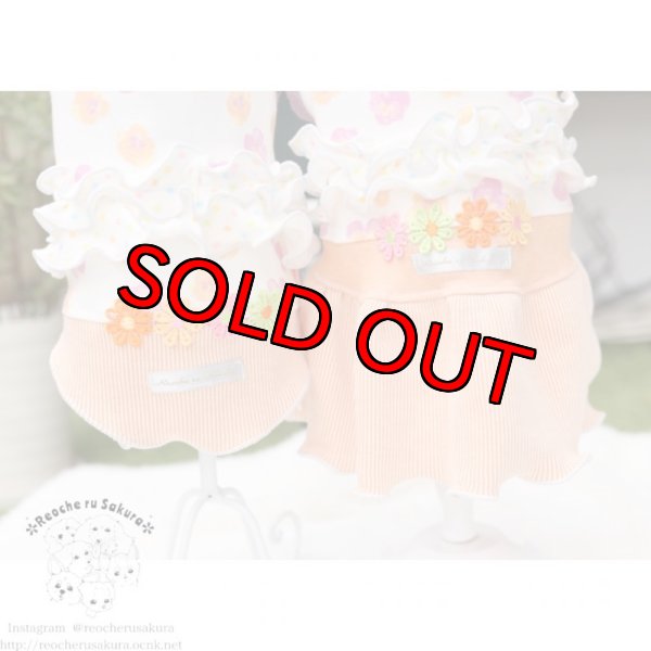 画像6: 【再々販】パンジーホイップペアルック (6)