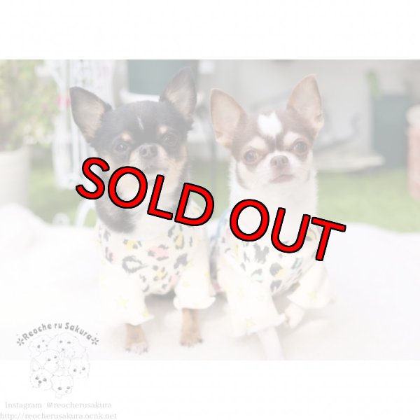 画像11: 【名入れ】隠れスマイルレオパードペアルック (11)