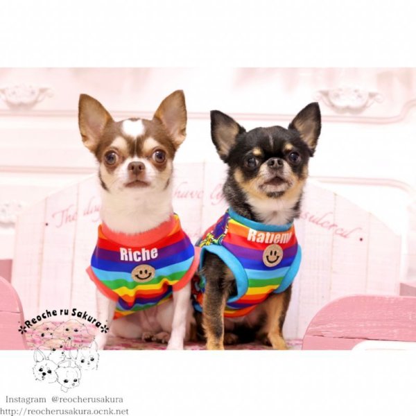 画像15: 【名入れ】カラフルペアルック 春夏 (15)