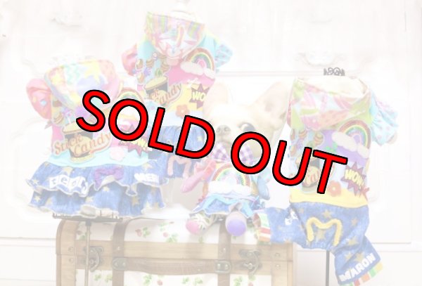 画像6: フルオーダー受付【固定 装飾Maxデザイン】超小型犬サイズ(胸周り40cmまで) (6)