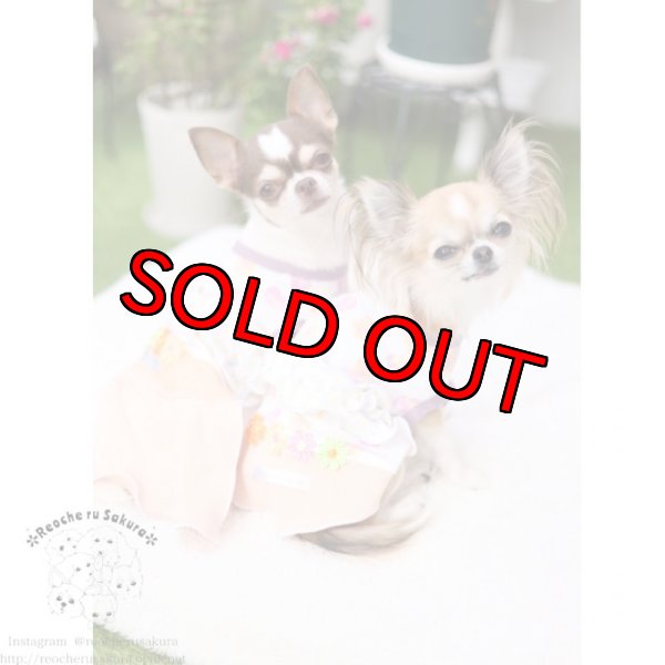 画像10: 【再々販】パンジーホイップペアルック (10)