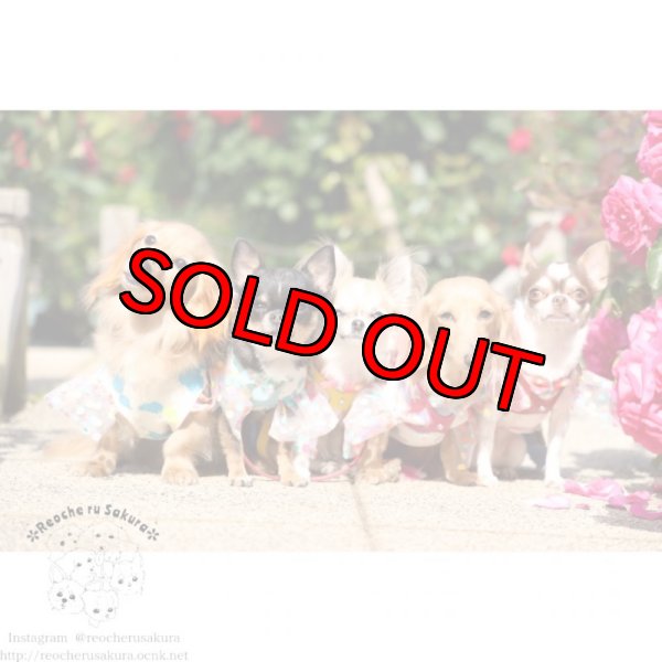 画像11: 【装飾あり】BAD GIRL ペアルック (11)