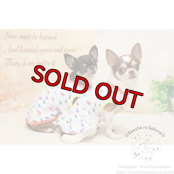 画像8: 吸水速乾、冷感加工 恐竜🦖ペアルック (8)