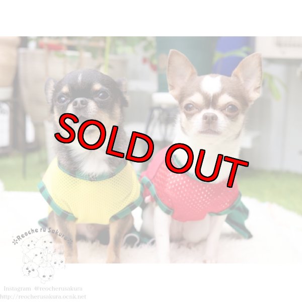 画像15: 【名入れ】スイカペアルック  春夏 (15)