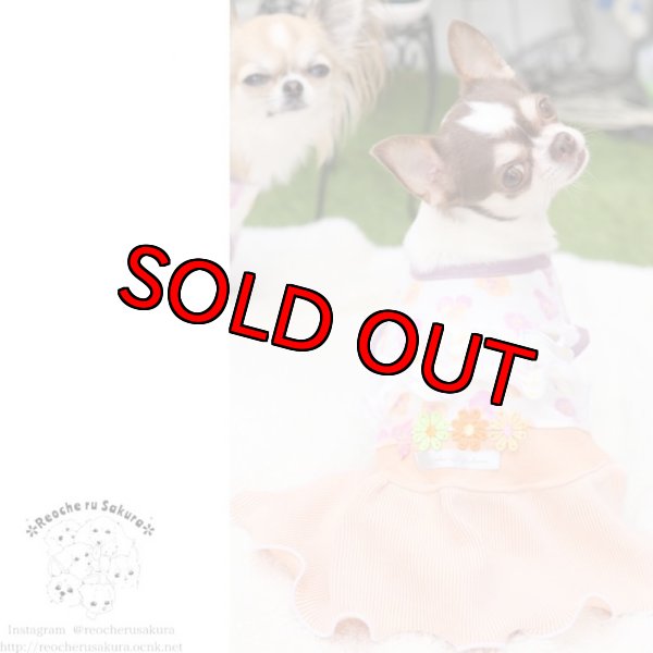 画像8: 【再々販】パンジーホイップペアルック (8)