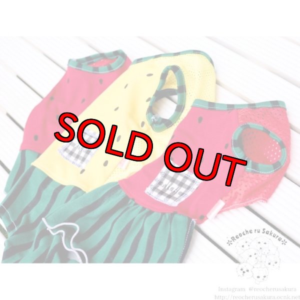 画像8: 【名入れ】スイカペアルック  春夏 (8)