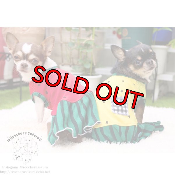 画像11: 【名入れ】スイカペアルック  春夏 (11)